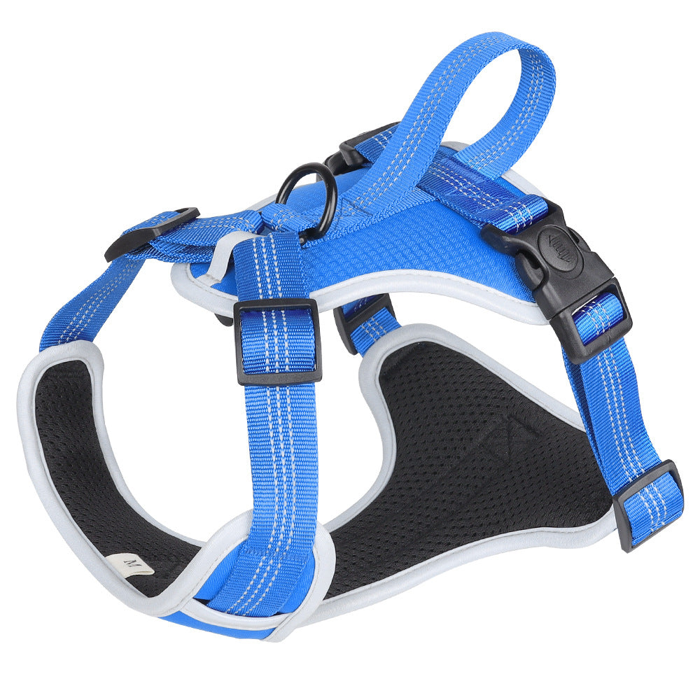 Strap Vest Dog Hand Holding Rope