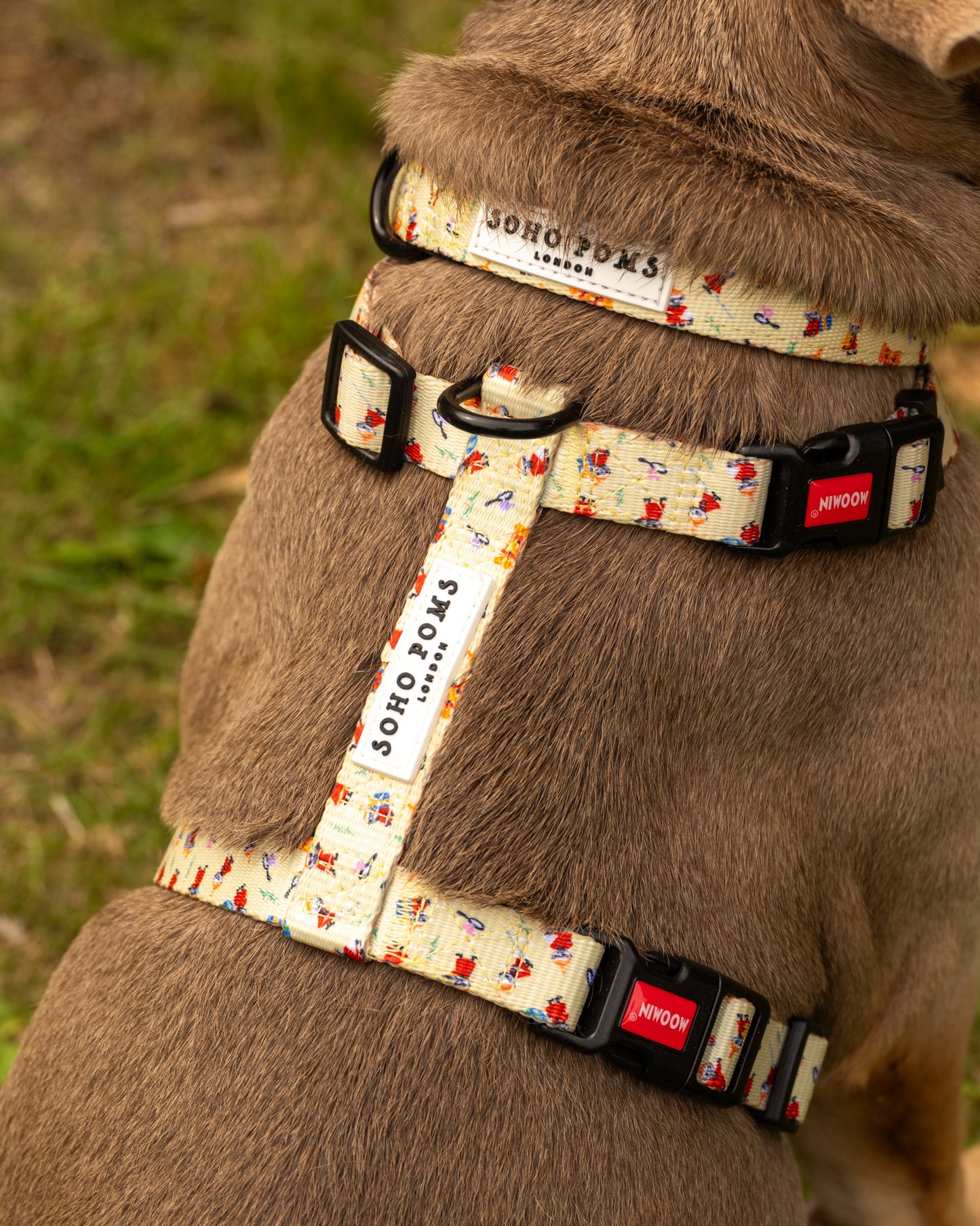 Moomins Yellow Sunrise Dogs Padded Collar by Soho Poms