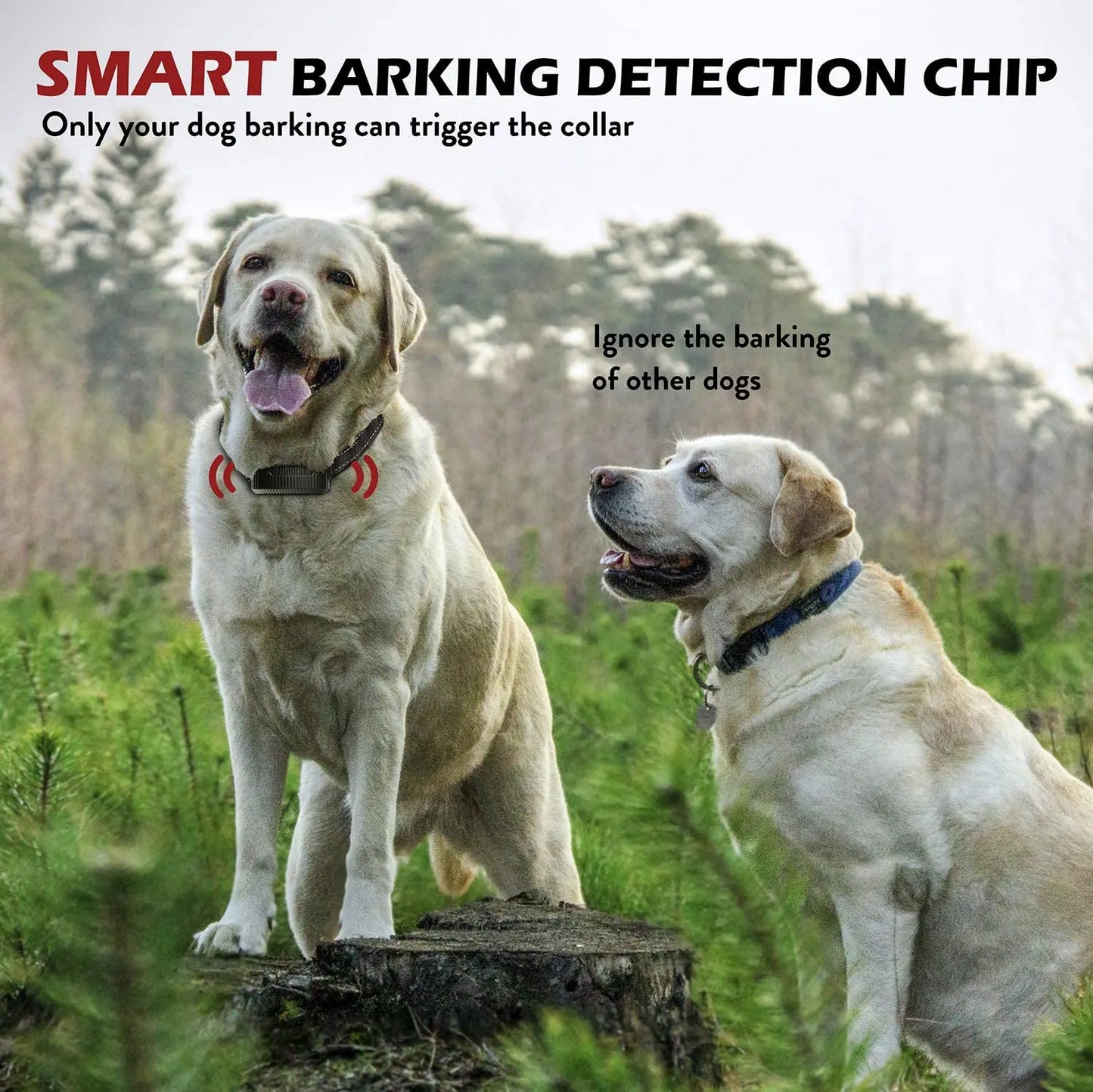 Dog Bark Collar