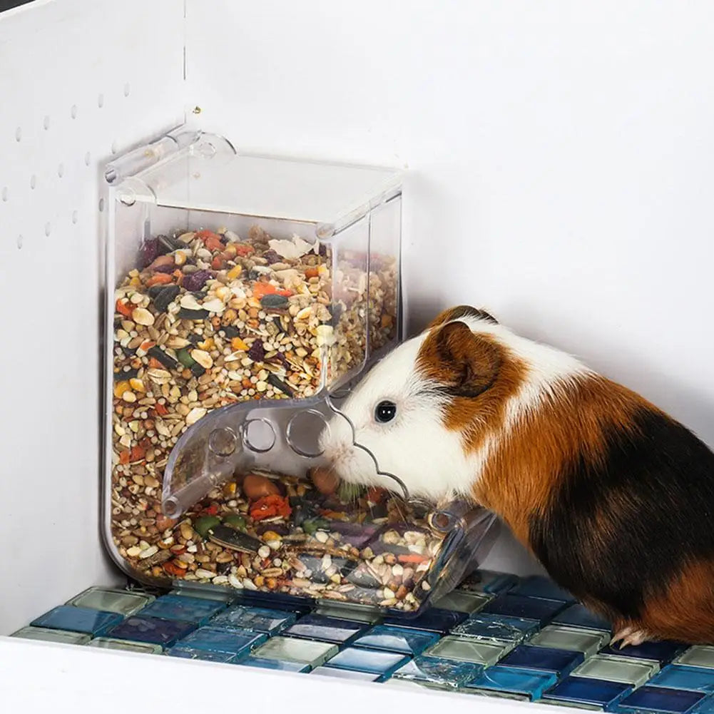 Hamster Rabbit Food Dispenser Feeder Plastic Automatic Hamster & Rabbit Food Dispenser – Clear Plastic Pet Feeder for Guinea Pigs and Small Animalsear Automatic Pet Feeder For Hamster Guinea Pigs Food Bowl Container