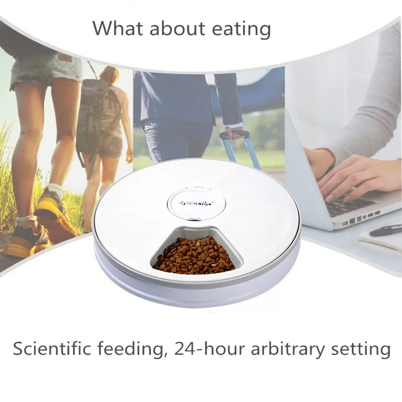 6 Grids Automatic Smart Pet Feeder