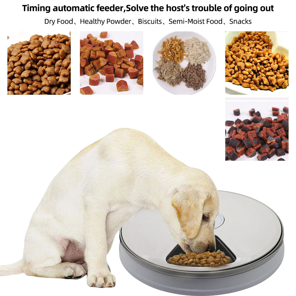 Automatic Smart Pet Food Dispenser