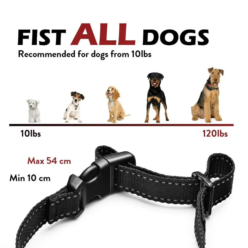 Dog Bark Collar