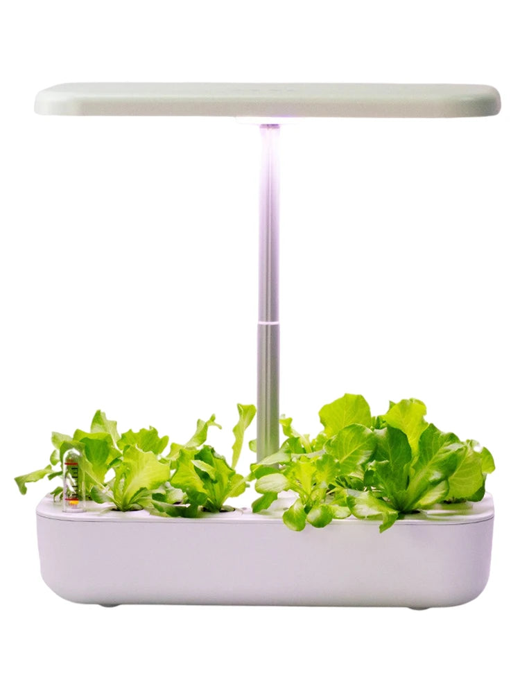 Hydroponics Growing System with LED Grow Light