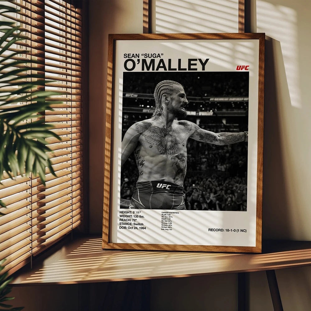 MMA Boxing Fighting Star Canvas Wall Art Print Poster