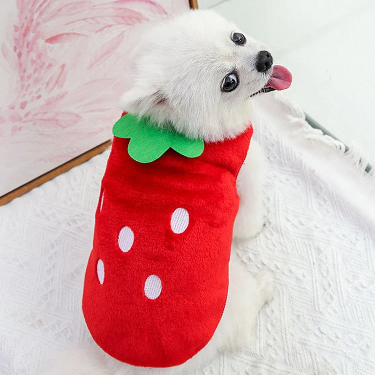 Cute Fleece Dog Winter Coat