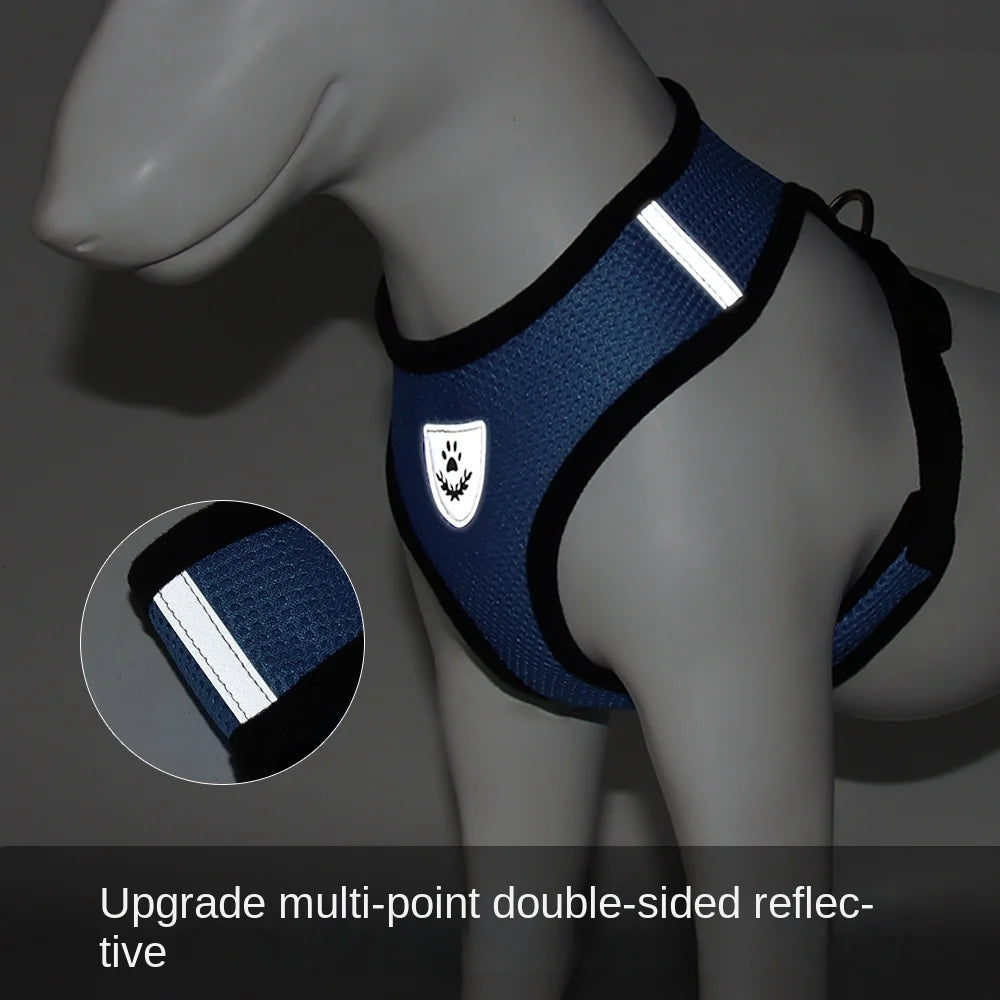 Adjustable Polyester Mesh Pet Harness Lead
