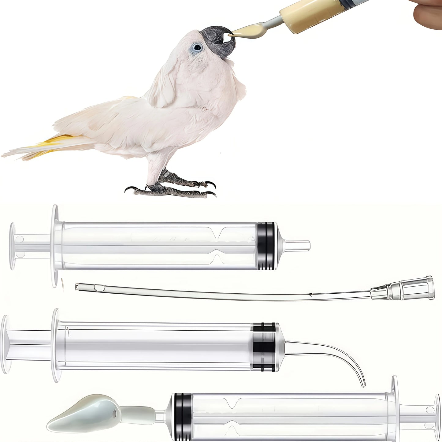 7-Piece Bird Feeding Syringe Set – Puppy & Kitten Nursing Feeder, Reusable Feeding Tools for Baby Birds, Parrots, Small Pets, and Orphaned Animals