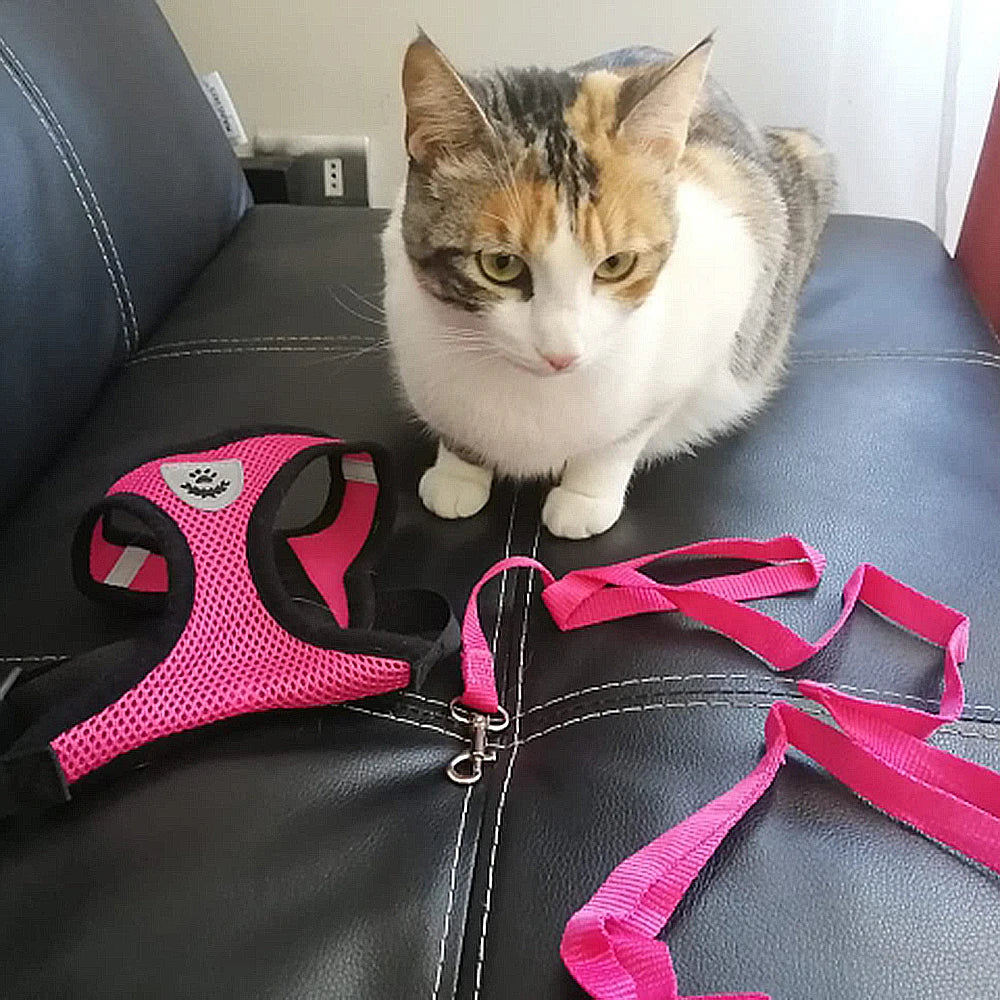 Adjustable Polyester Mesh Pet Harness Lead