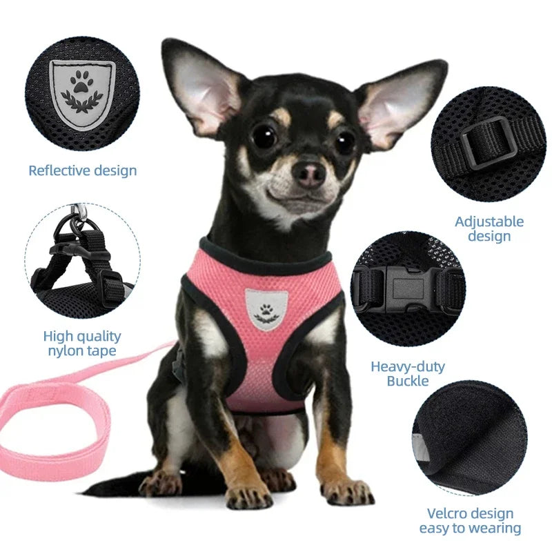 Adjustable Polyester Mesh Pet Harness Lead