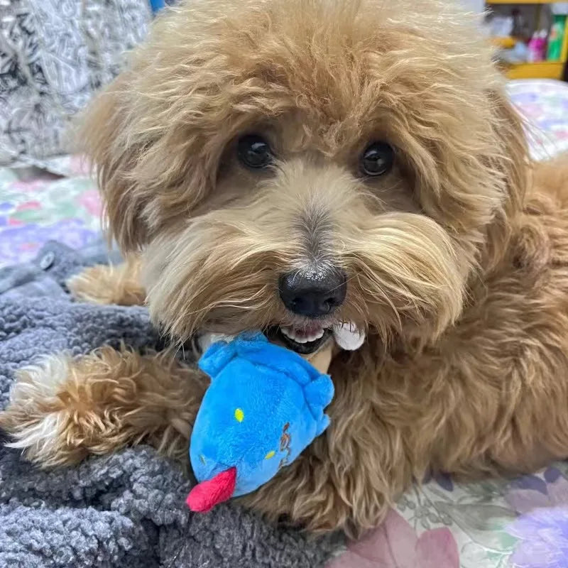 Plush Fruit-Shaped Dog Toy – Squeaky Chew Toy for Small & Medium Dogs, Teeth-Cleaning Pet Toy for Puppies and Cats