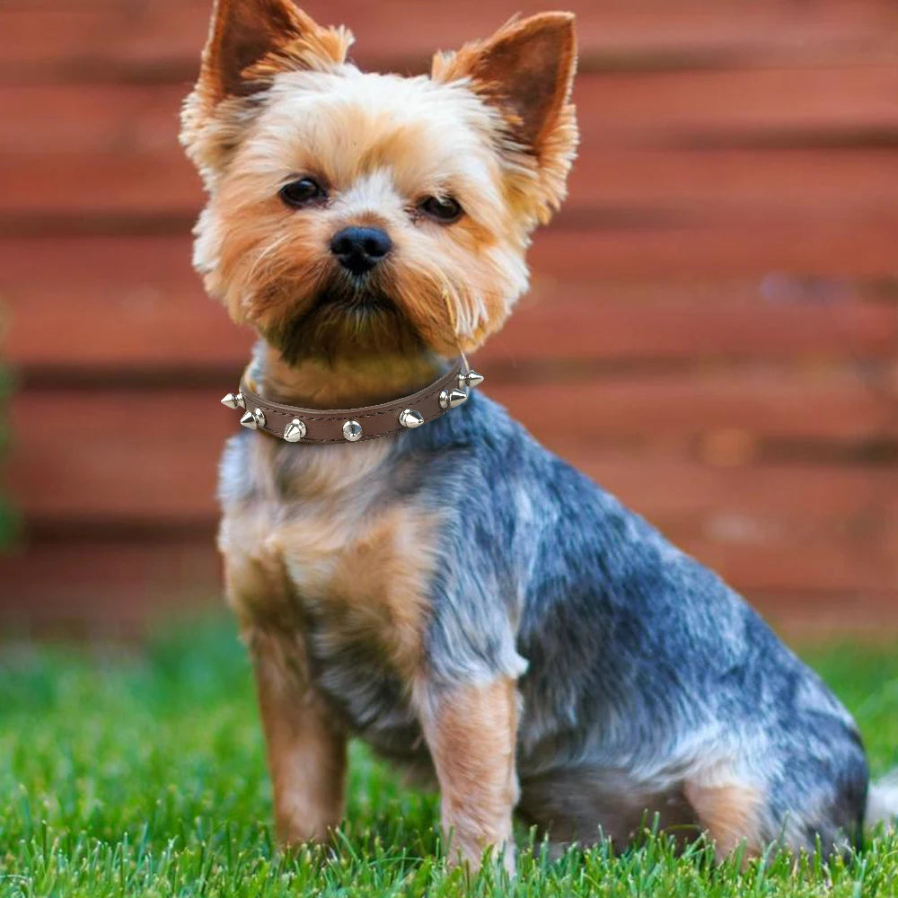 Anti-Bite Spiked Dog Collar – PU Leather Studded Collar for Small Dogs, Bulldogs, Pugs, and Puppies