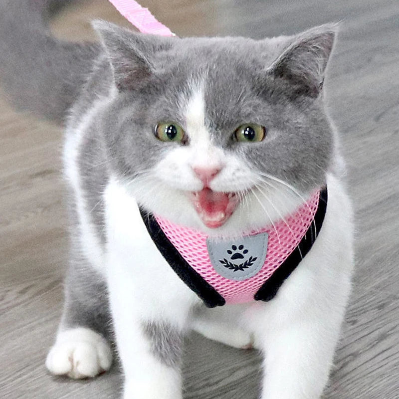Adjustable Polyester Mesh Pet Harness Lead
