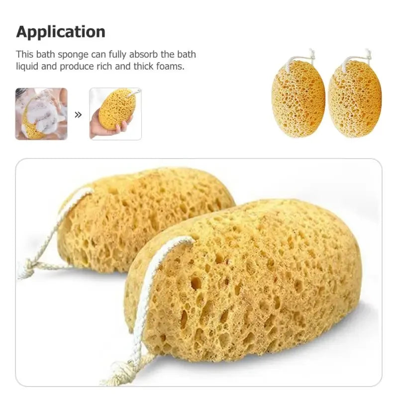 Body Foam Sponges