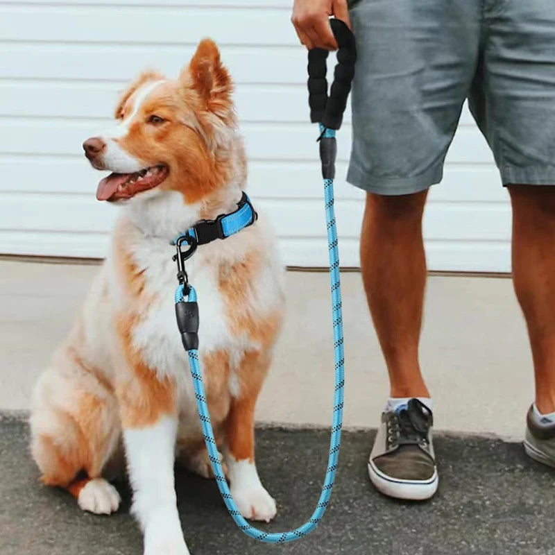 3M Reflective Dog Leash – Padded Handle, Heavy-Duty Double Traction Rope for Small to Large Dogs