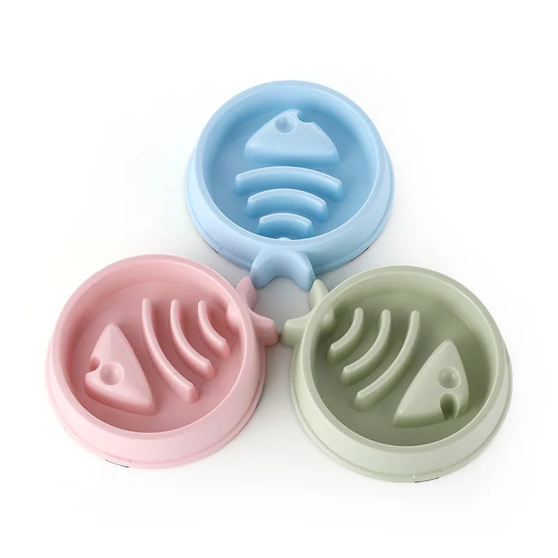 Slow Food Pet Bowl
