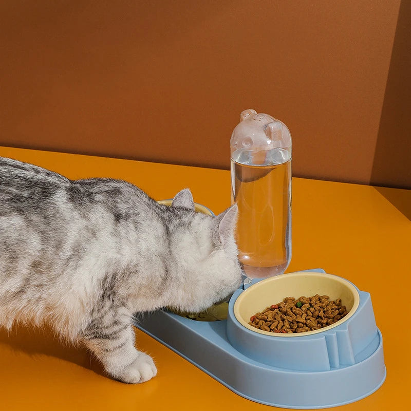 Automatic Double Bowl Feeder With Water Fountain Drinking Raised Stand