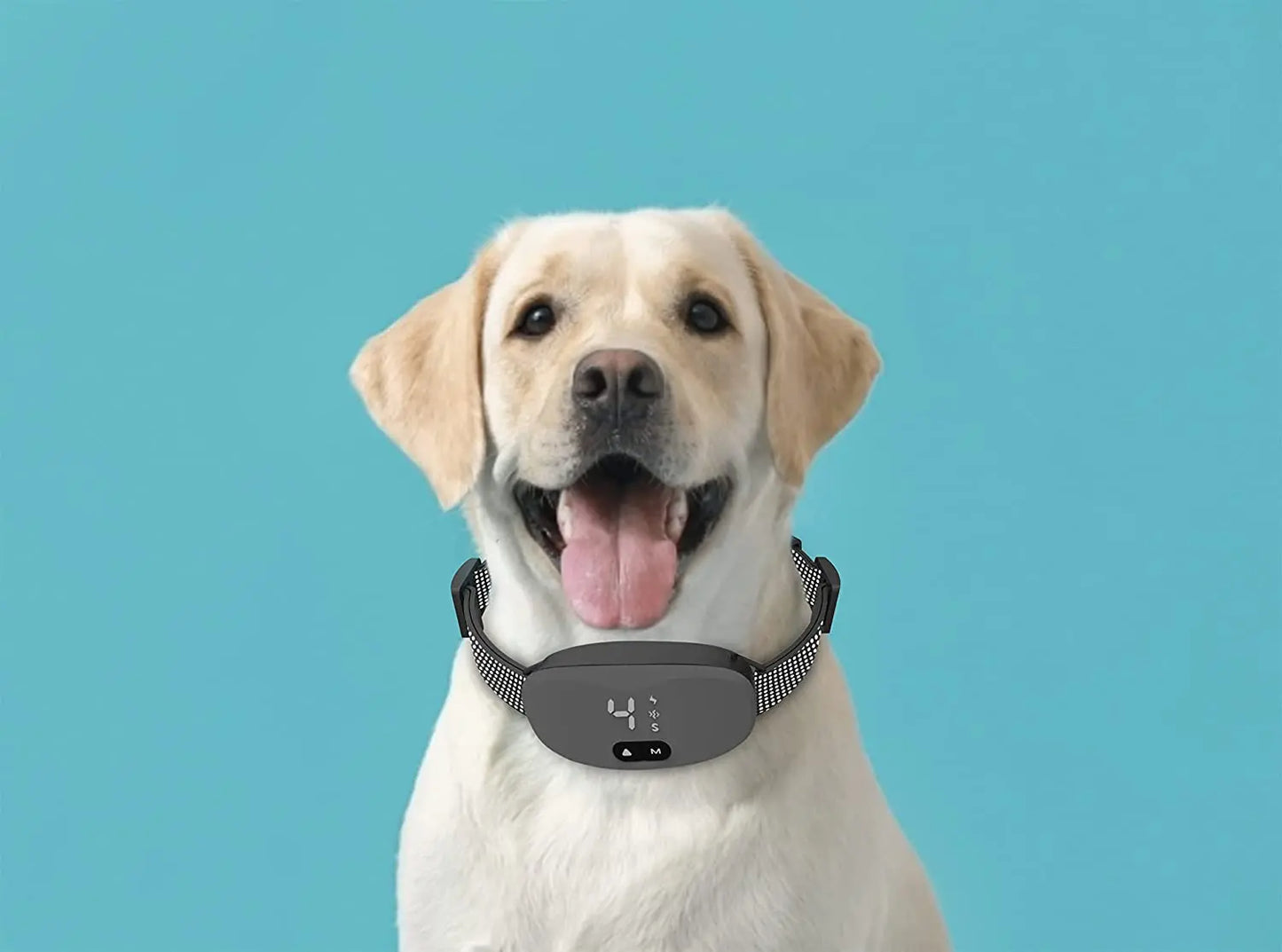 Electric shock Vibration Anti bark dog collar