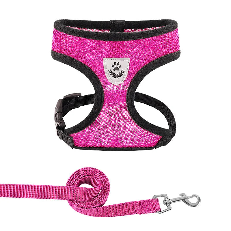 Adjustable Polyester Mesh Pet Harness Lead