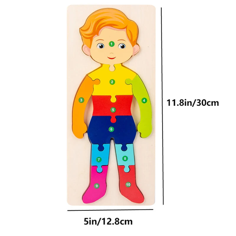 Rectangle Wooden Puzzle for Kids, Animals Vehicles Pattern Colorful Wood Numbered Puzzles For Toddlers