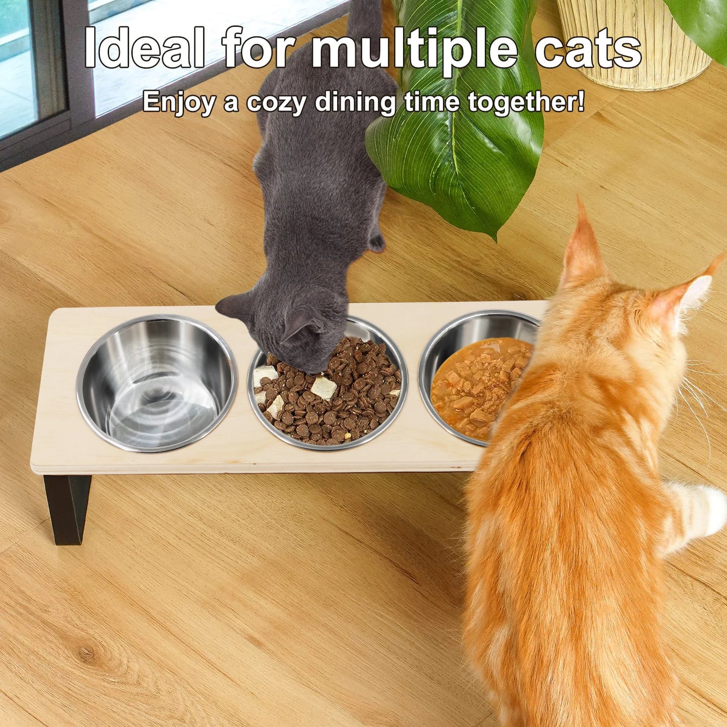 Elevated Cat & Puppy Feeder – 15° Tilted Raised Stand with 3 Stainless Steel Bowls for Food & Water