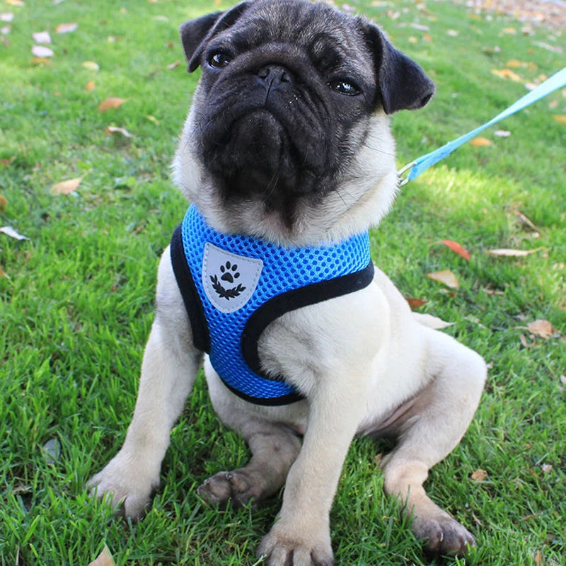 Adjustable Polyester Mesh Pet Harness Lead