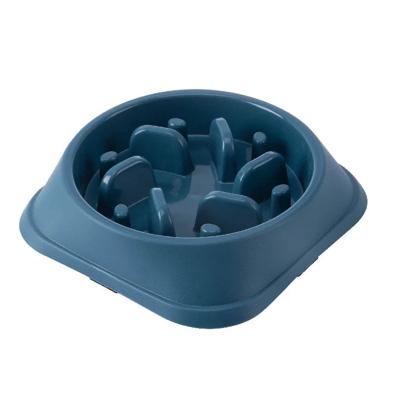 Slow Food Pet Bowl
