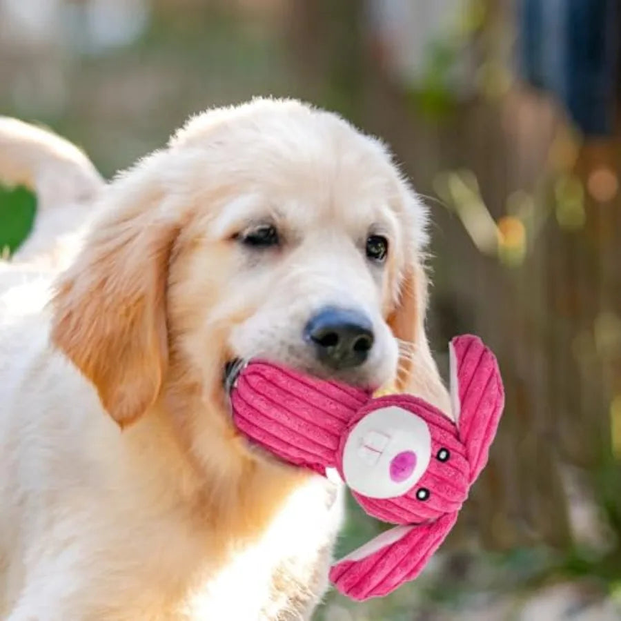 5 Pack Squeaky Dog Toys Tough Stuffed Plush Puppy Tough Chew Toys Durable Assortment Plush Animal Dog Toys to Keep Them Busy Pu