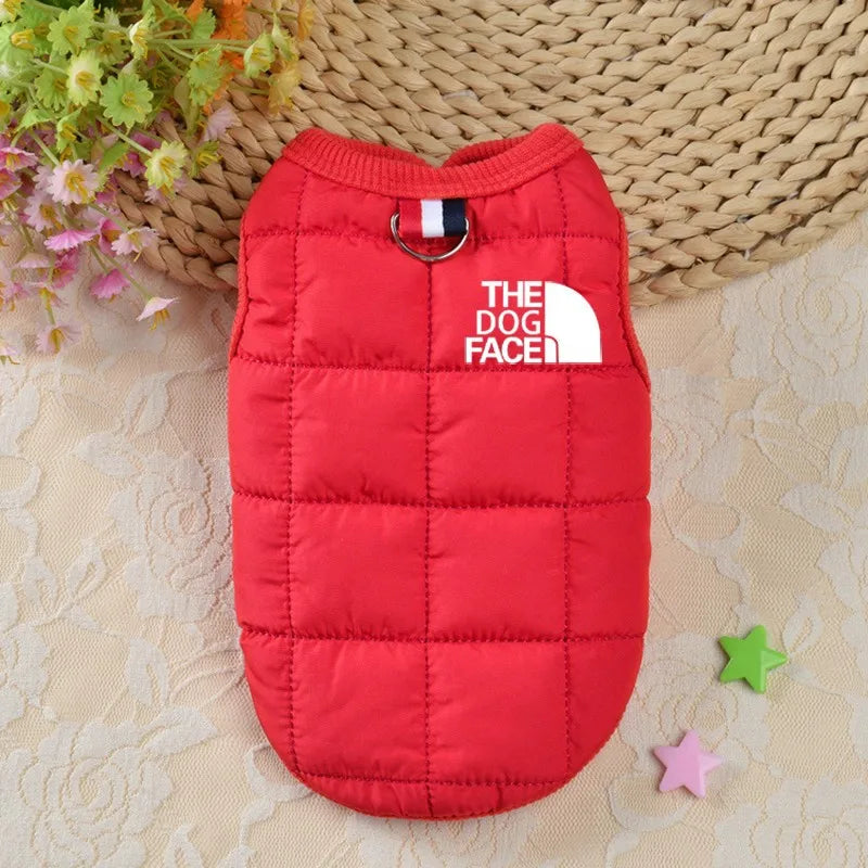 Trendy Winter Pet Coat