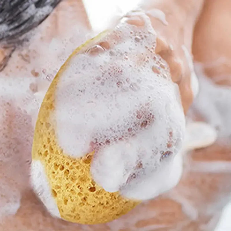 Body Foam Sponges