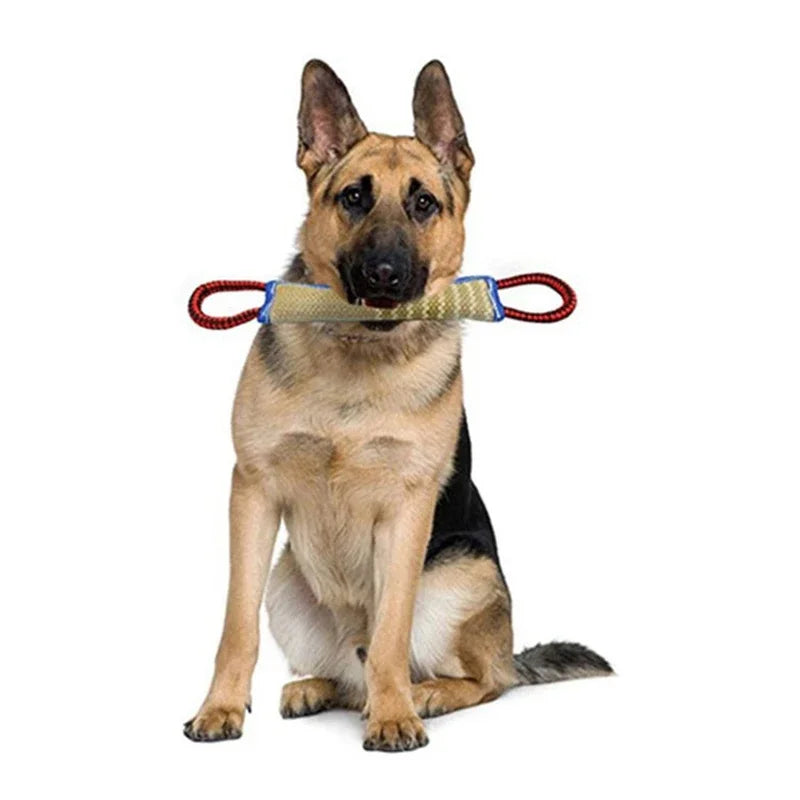 Dog Chew Sticks Chew Pillow