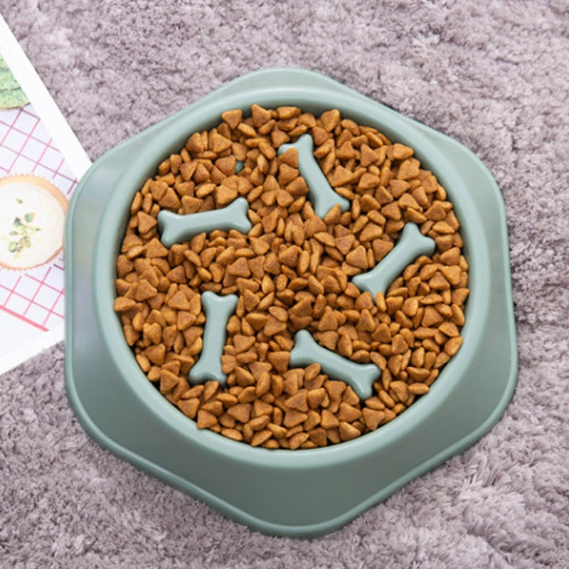 Pet Slow Feeder Bowl – Anti-Choking, Anti-Gulping PP Plastic Dish for Dogs