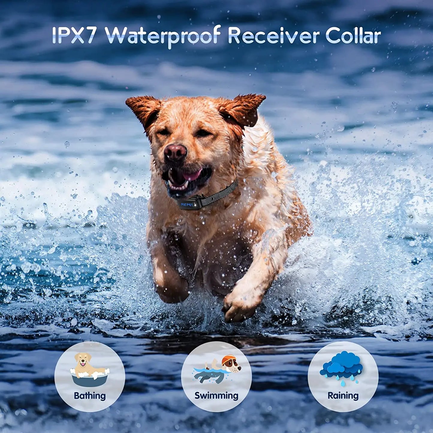 E-collar Dog Training Collar