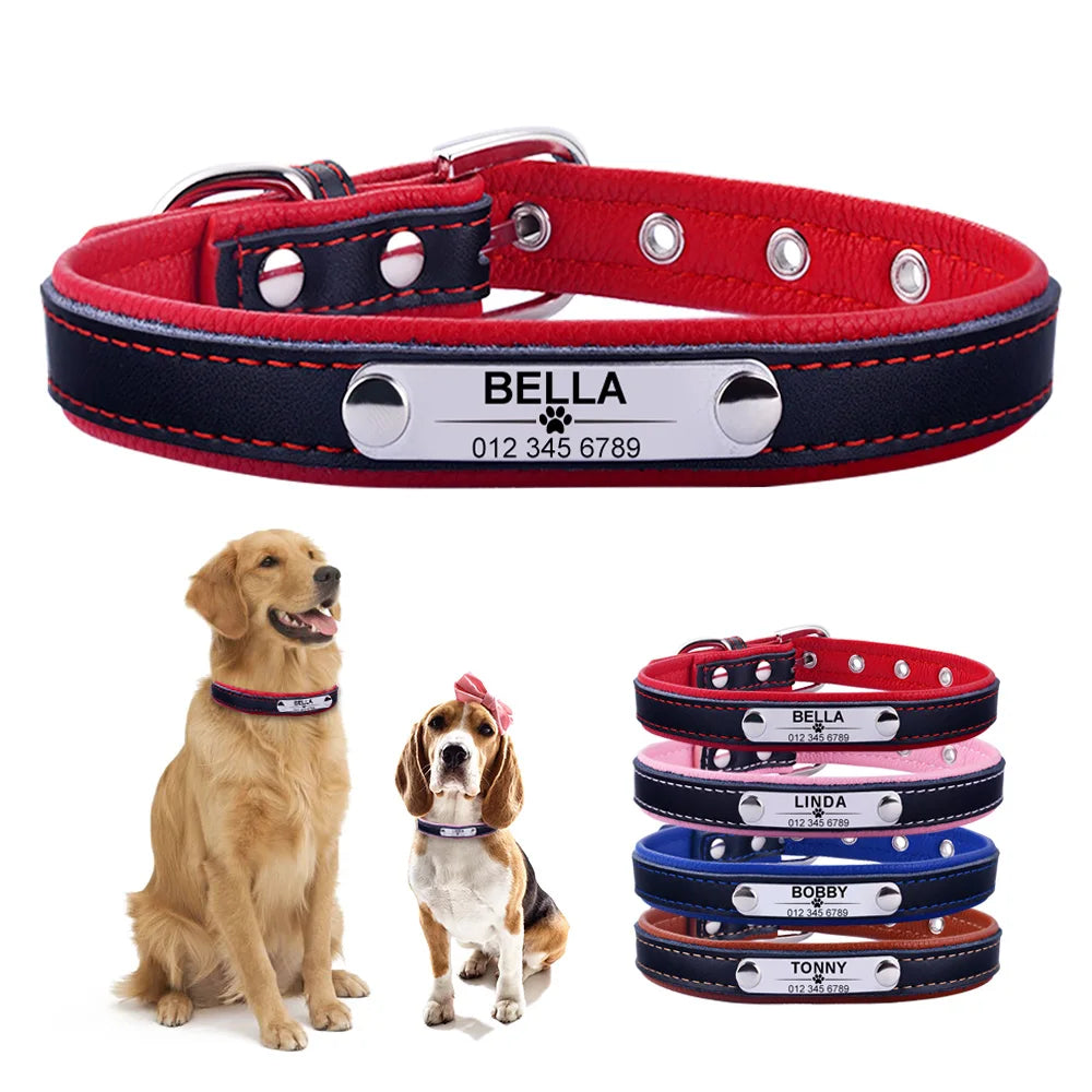 Personalized Leather Dog Collar