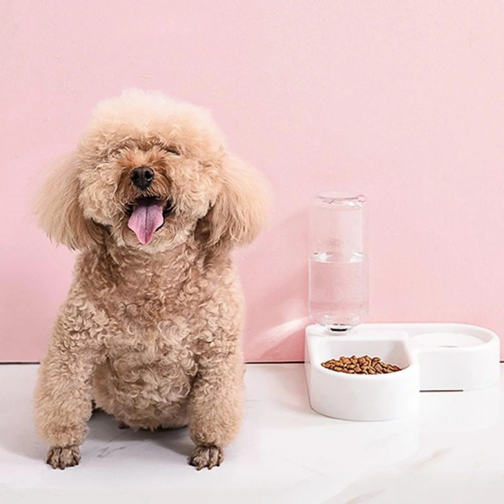 500ml Portable Automatic Pet Feeder – Small Food & Water Bowl for Cats and Dogs, Ideal for Living Room or Bedroom