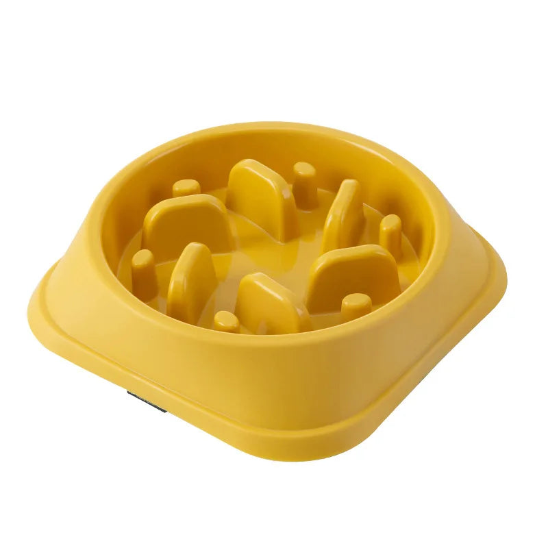 Slow Food Pet Bowl