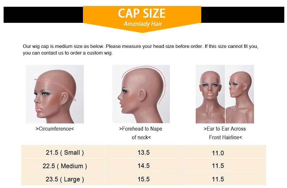Highlight Ombre 13x6 Lace Front Wigs Human Hair Pre Plucked 200Density Straight HD Lace Frontal Wigs for Women 4/27 Honey Blonde