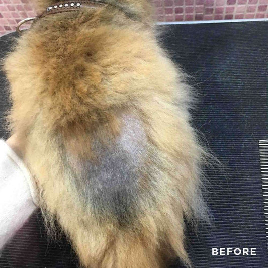 Pomeranian Beauty Recovery Mask BSD 250ml