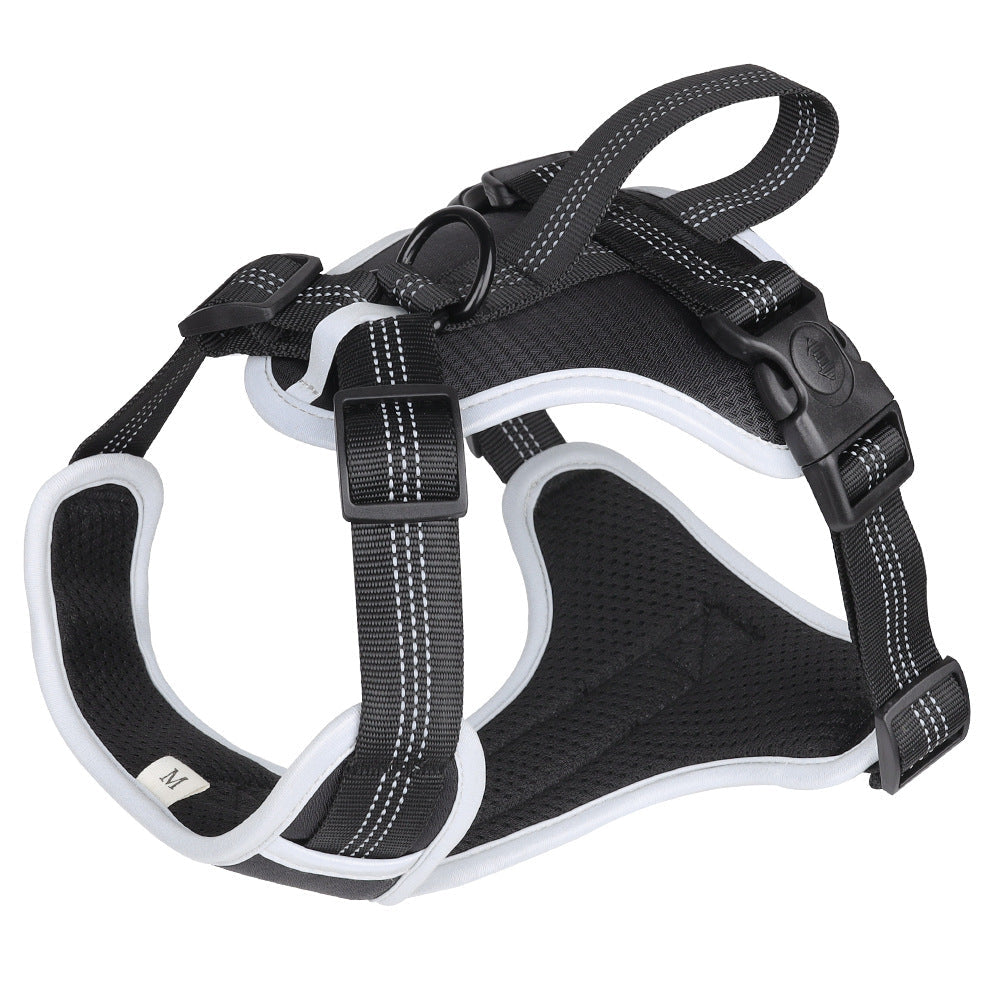 Strap Vest Dog Hand Holding Rope