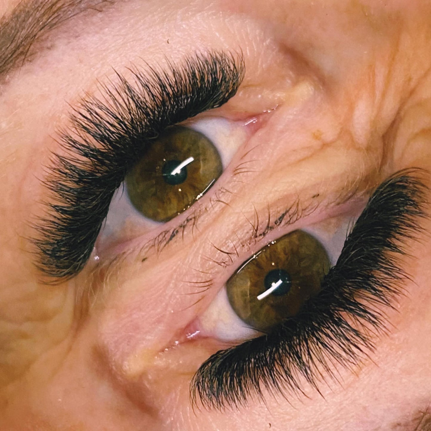 Sample Tray 4D Clover