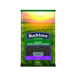 Black Sunflower Seed