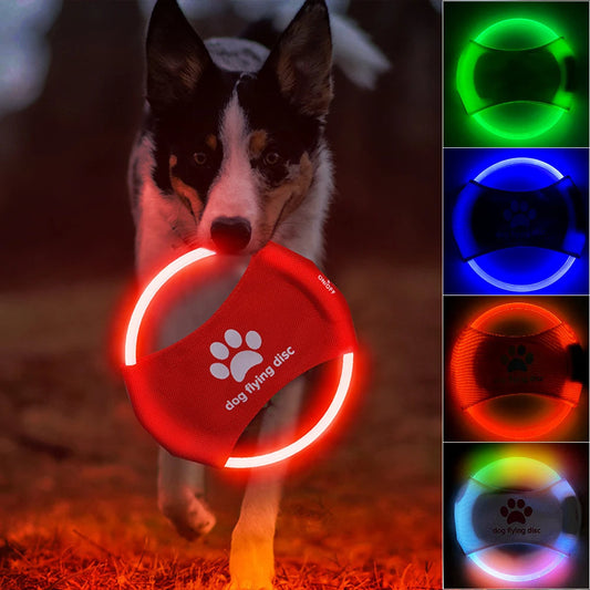 Pet LED Durable Accessory Night Rechargeable Frisbee