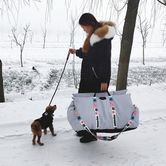 Pet Car Travel Seat