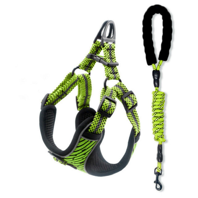 Sprint Pet Dog Harness and Lead Sets