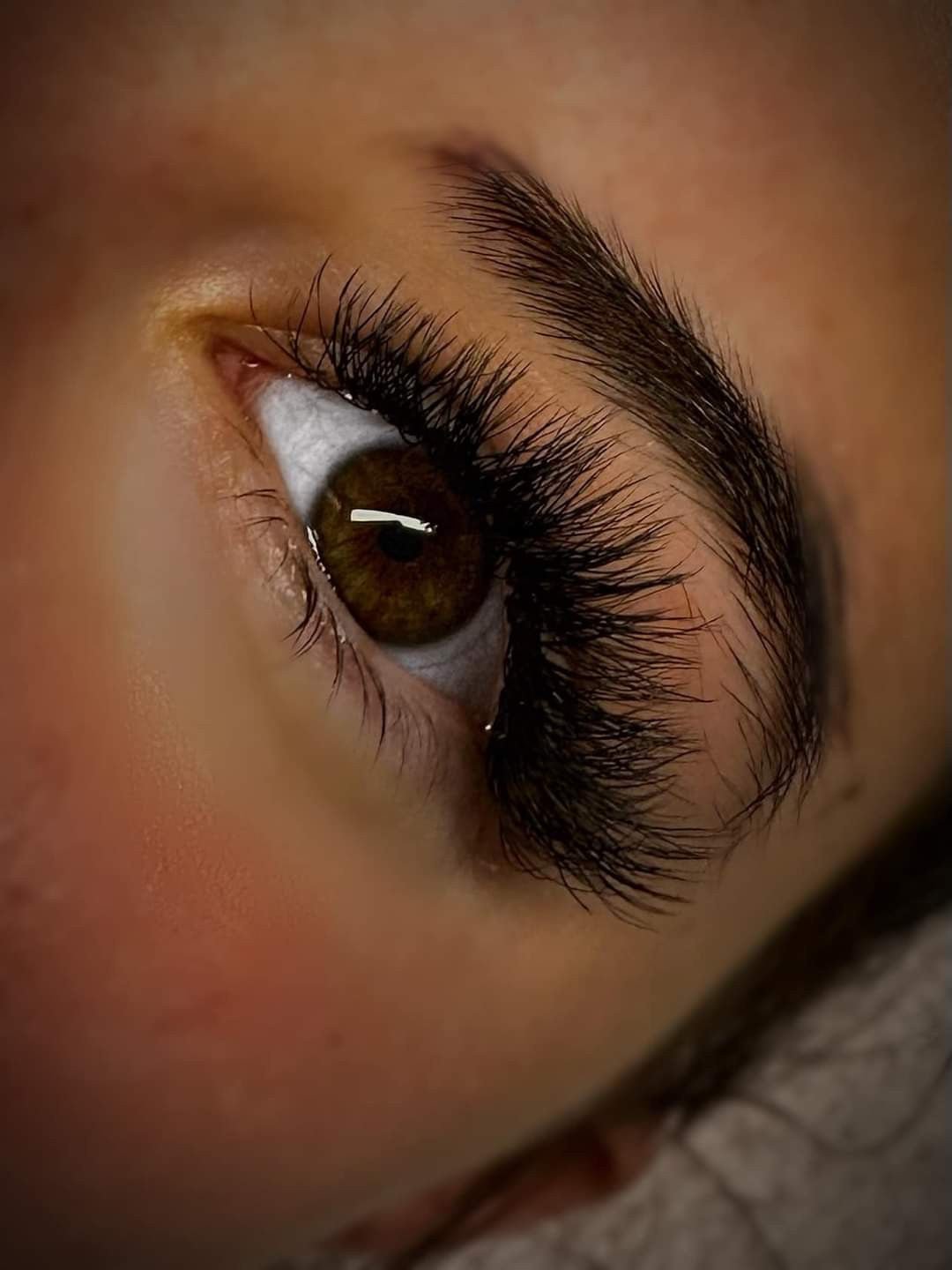 Sample Tray 6D Clover