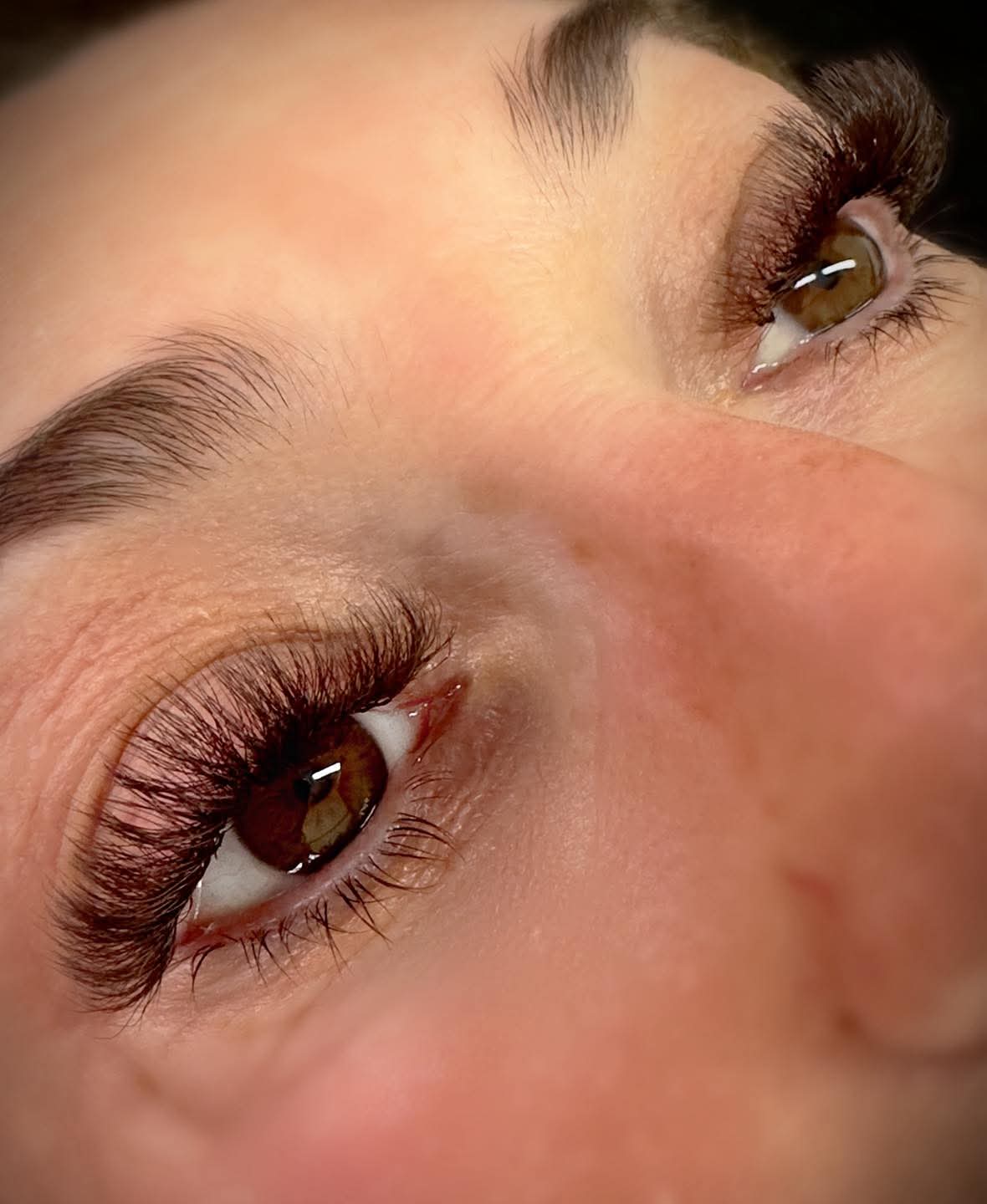 Brown 6D Clover Lash Mixed Tray