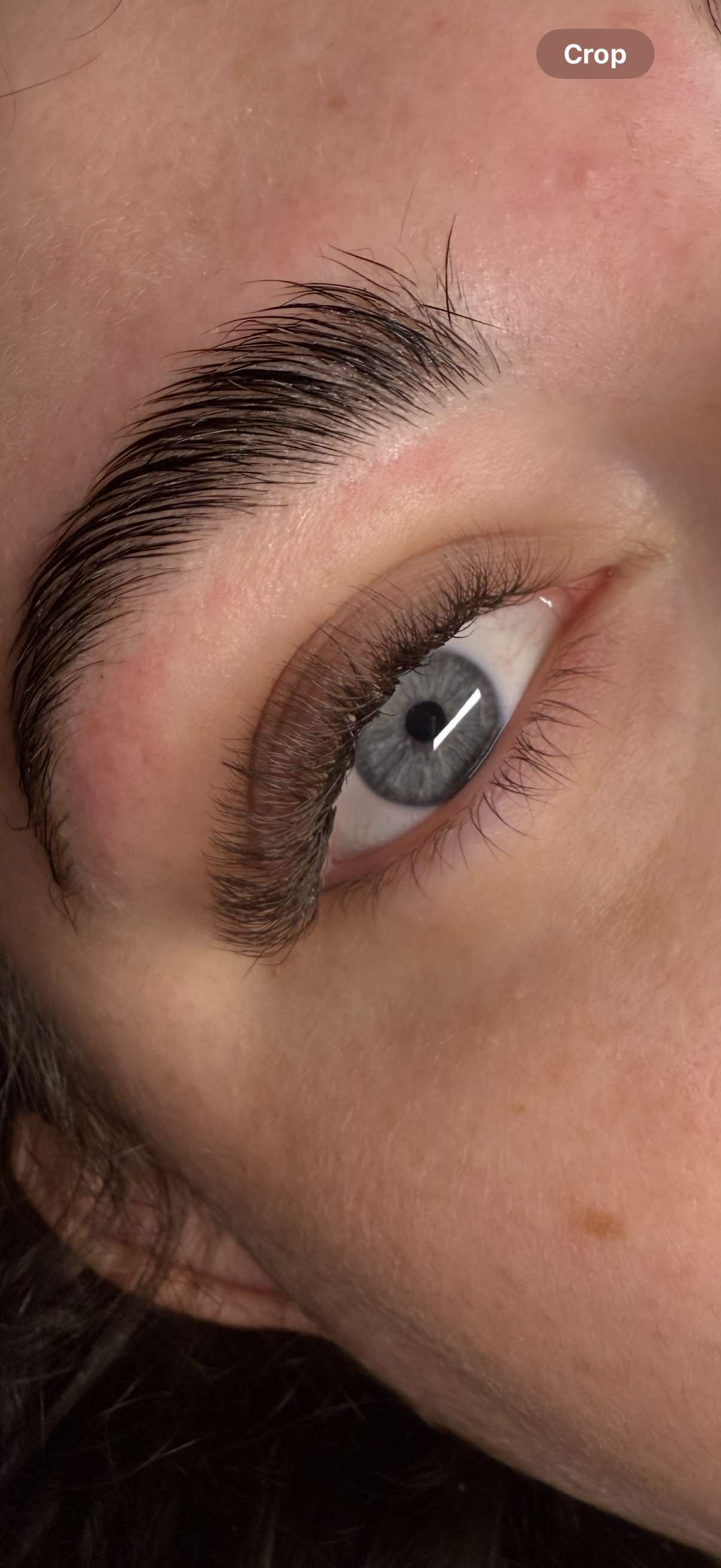 Brown 6D Clover Lash Mixed Tray