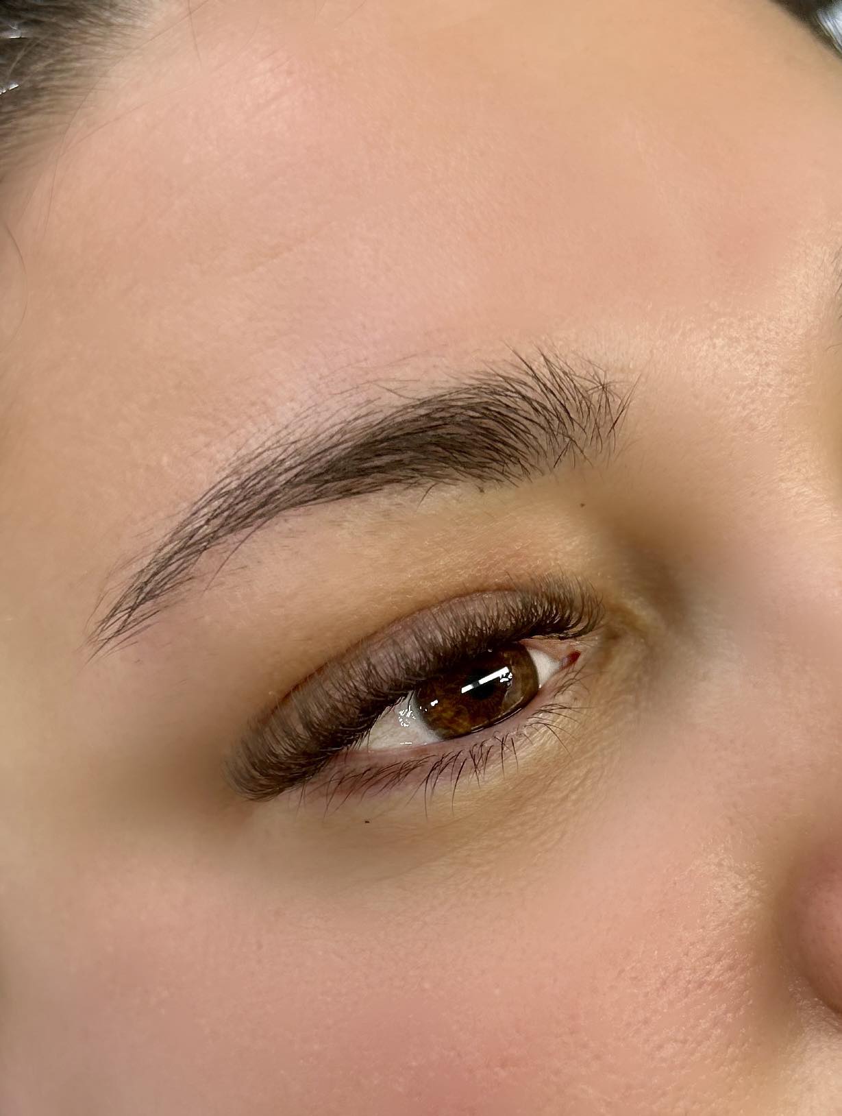 Brown 6D Clover Lash Mixed Tray