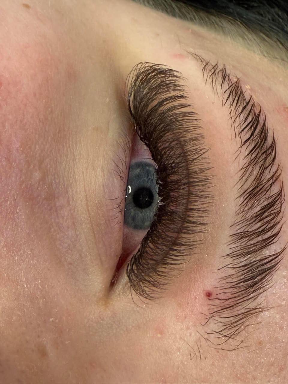 Brown 6D Clover Lash Mixed Tray