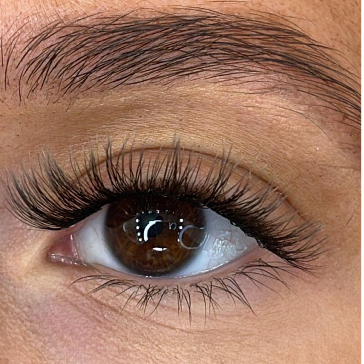 Maya - Weightless 'C' Curl Pre-Cut Lash Ribbons®